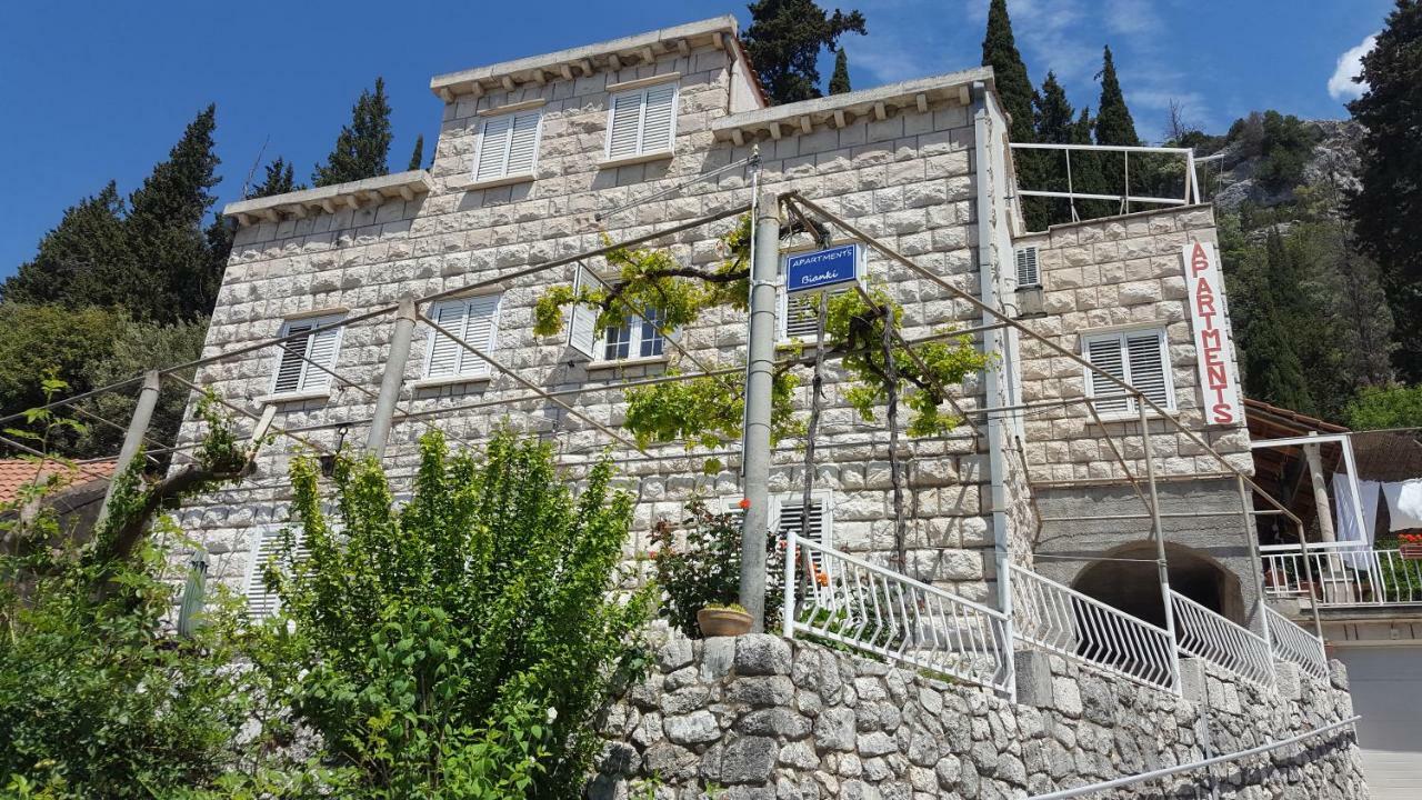 Apartments Bianki سلانو المظهر الخارجي الصورة